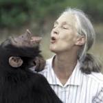 我聽黑猩猩之母-珍古德的演講@瑜你共舞