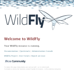 【Docker&Wildfly】（bitnami/wildfly）如何從零開始創建網頁伺服器@小編過路君子