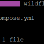 【Docker&Wildfly】（bitnami/wildfly）如何從零開始創建網頁伺服器@小編過路君子