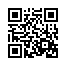 qrcode cubic zirconia 4.2