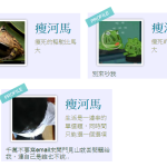 [新手上路] 第一次變臉就上手~我的介紹@精讚系統文件