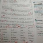拿命換來的英文成績 | 我的英文血淚、成長史 | 英文讀書方法與秘訣@淳淳淳的歡樂世界