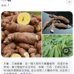 厨房常見的幾種食用性粉類@Axer's World